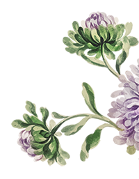 Blume